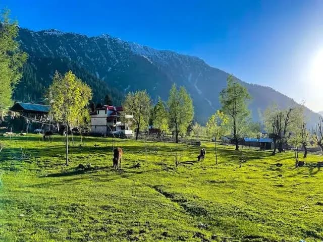 Best Tour Packages For Kashmir