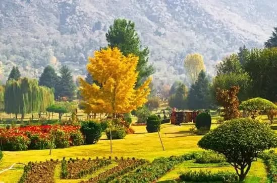 Best Kashmir trip package