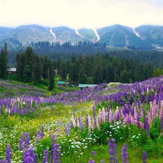 Best Kashmir Trip Package