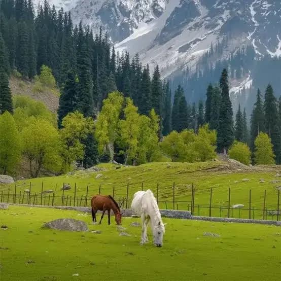 Best Kashmir Holiday Packages | Group Tour