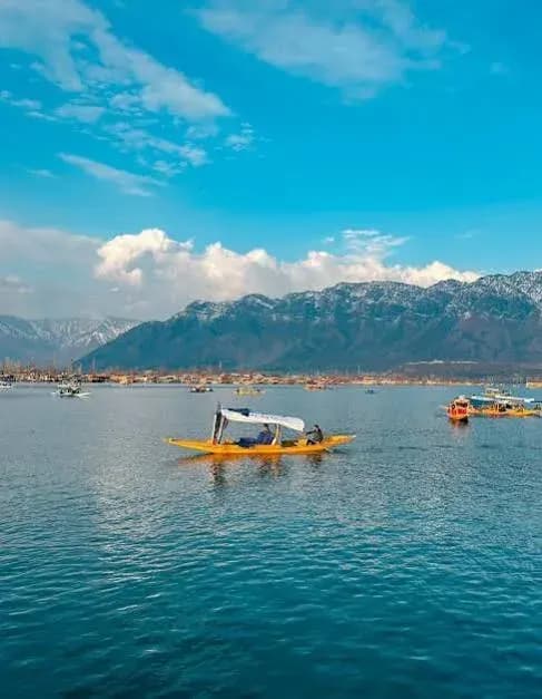 Best Kashmir Family Tour Package