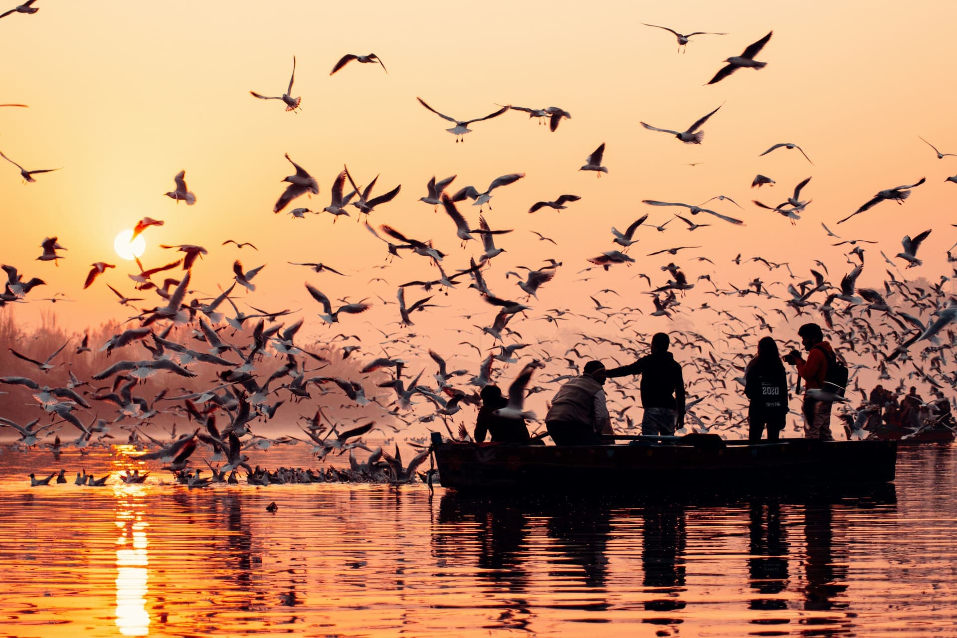 Jammu and Kashmir