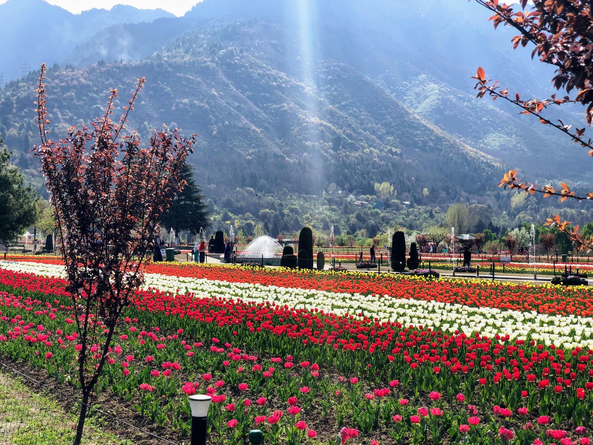 Jammu and Kashmir