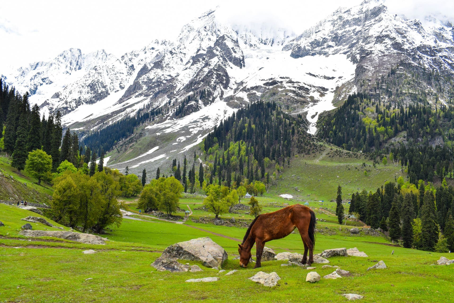 Himachal