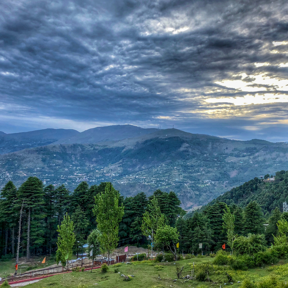 Patnitop